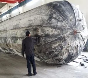 لاستیک نجات دریایی کیسه هوا